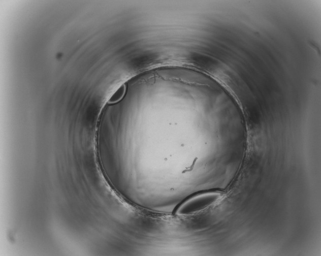 X0000100200906200806201418