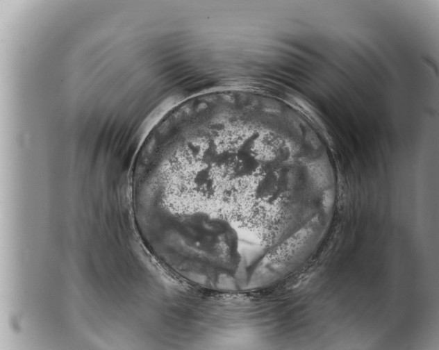 X0000100200907200806201418