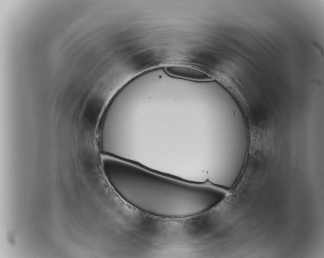 X0000100200908200806201418