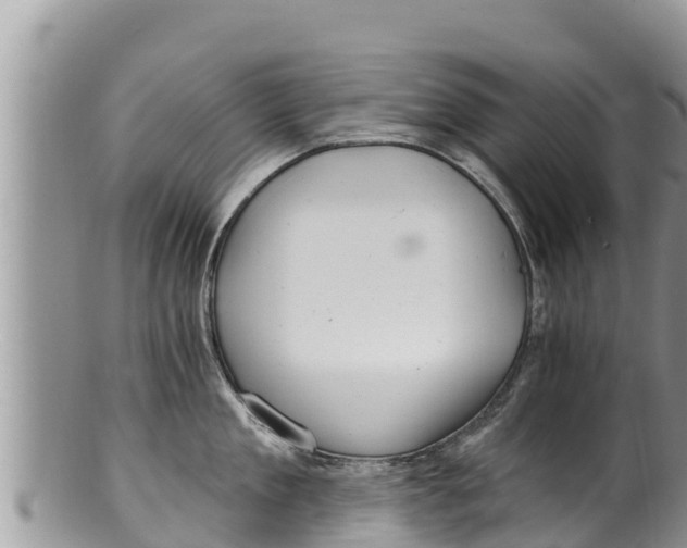 X0000100200909200806201418