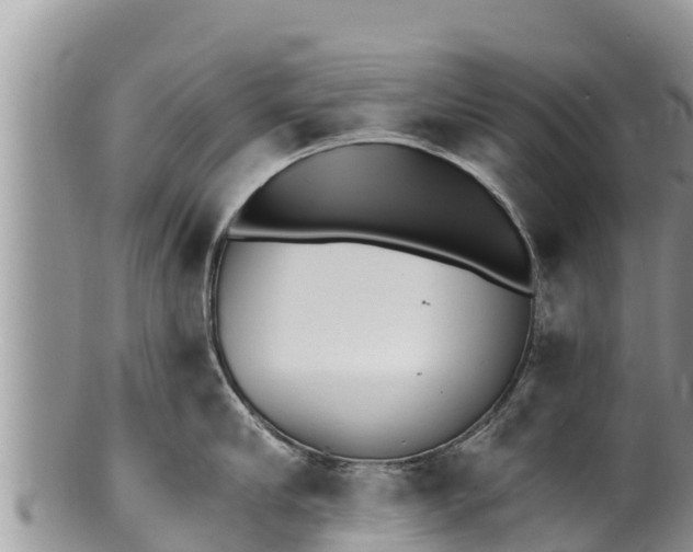 X0000100200910200806201418