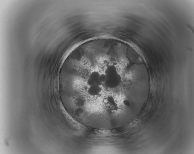 X0000100200911200806201418