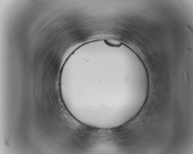 X0000100200912200806201418