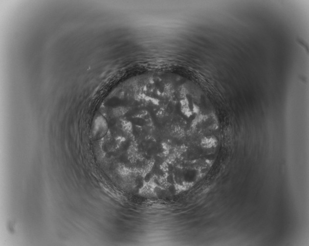 X0000100200913200806201417