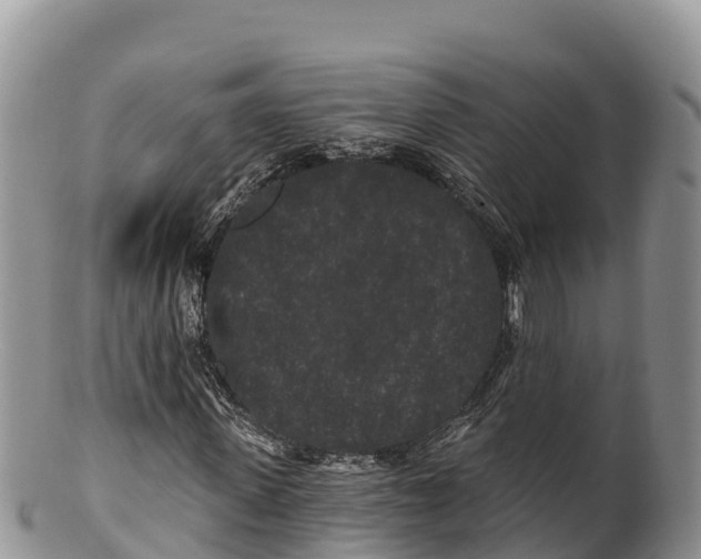 X0000100200915200806201417