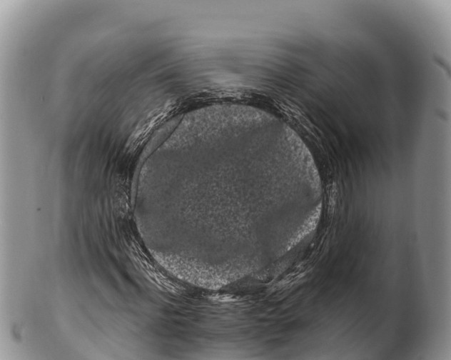 X0000100200916200806201417