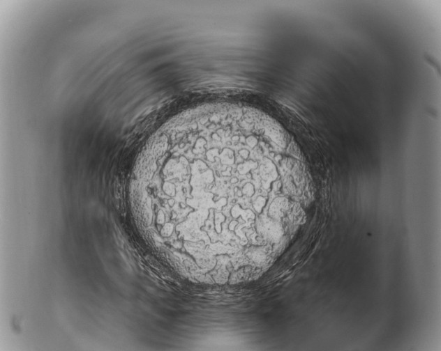 X0000100200917200806201417