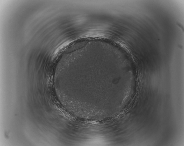 X0000100200920200806201417