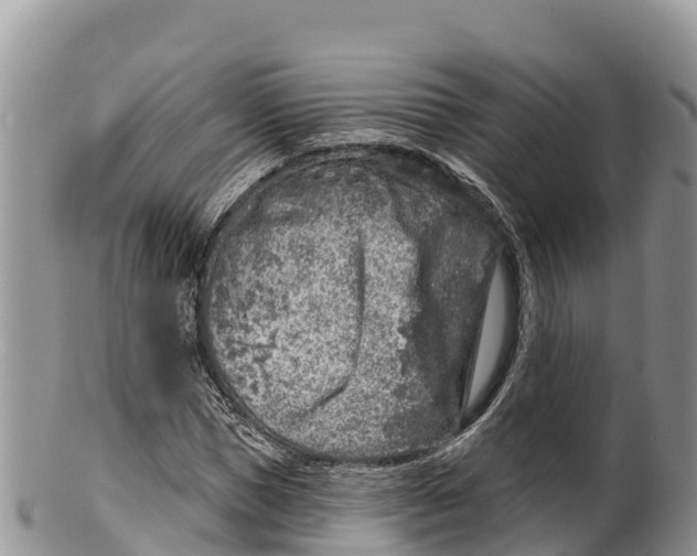 X0000100200921200806201417