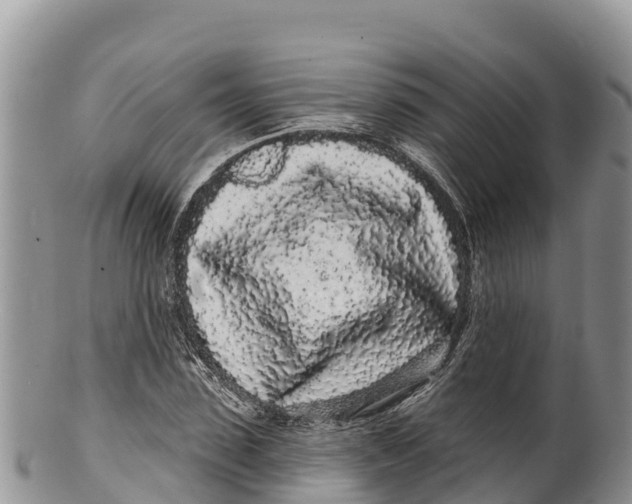 X0000100200923200806201417