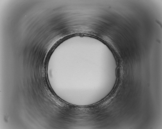 X0000100200924200806201417