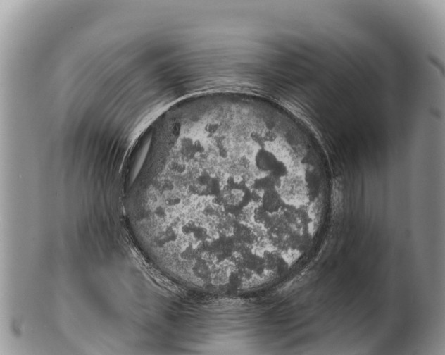 X0000100200925200806201418