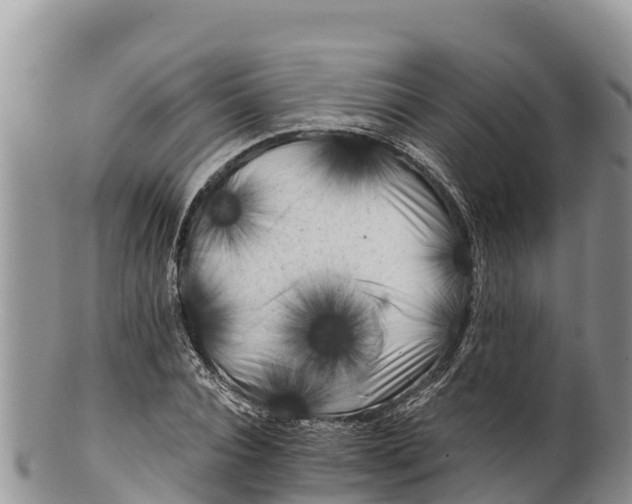 X0000100200928200806201418