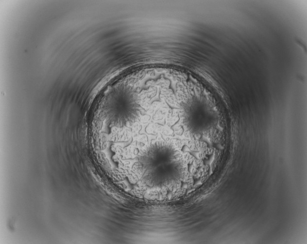 X0000100200933200806201418