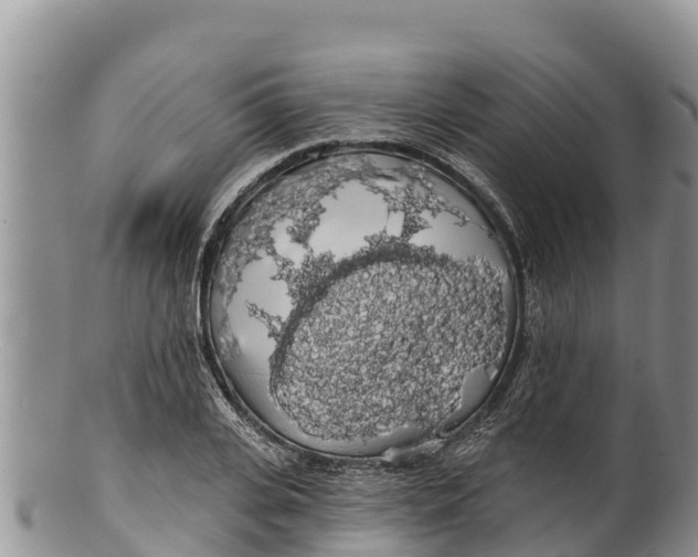 X0000100200935200806201418