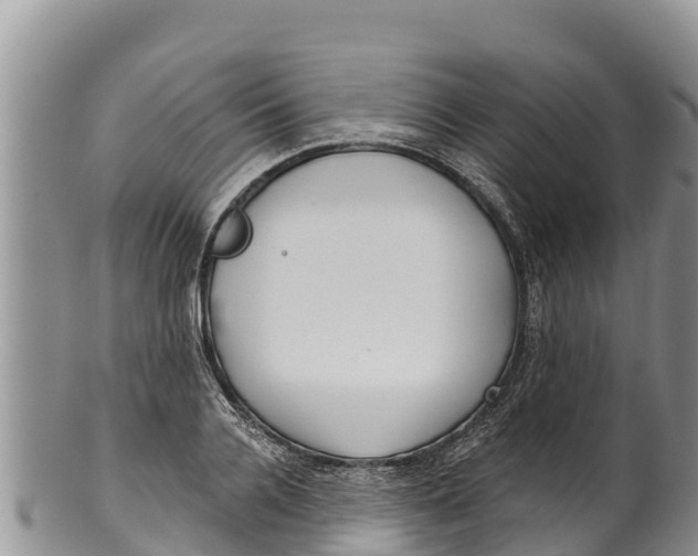 X0000100200936200806201418