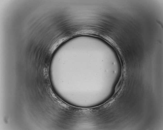 X0000100200937200806201418