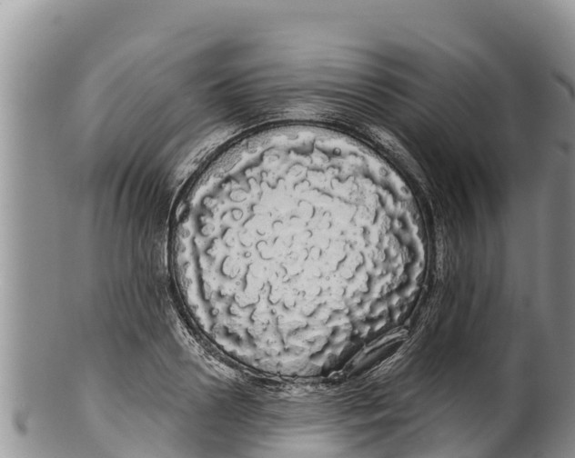 X0000100200938200806201418