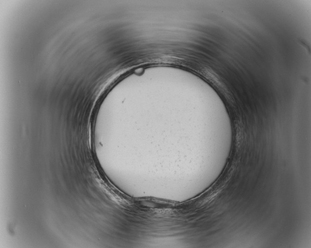 X0000100200940200806201418