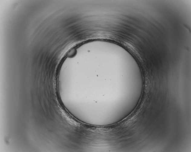 X0000100200942200806201418