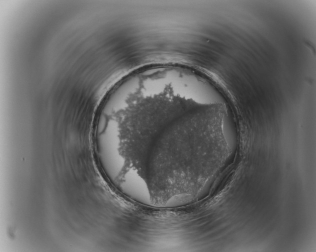 X0000100200943200806201418