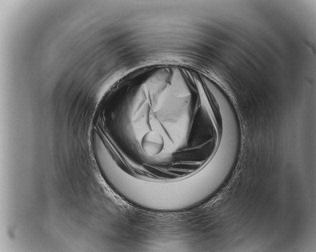 X0000100200944200806201418