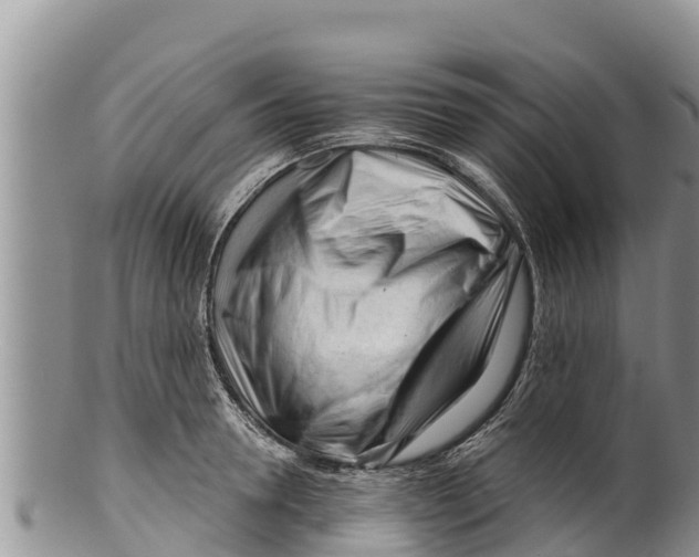 X0000100200946200806201418