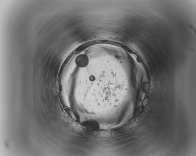 X0000100200948200806201418