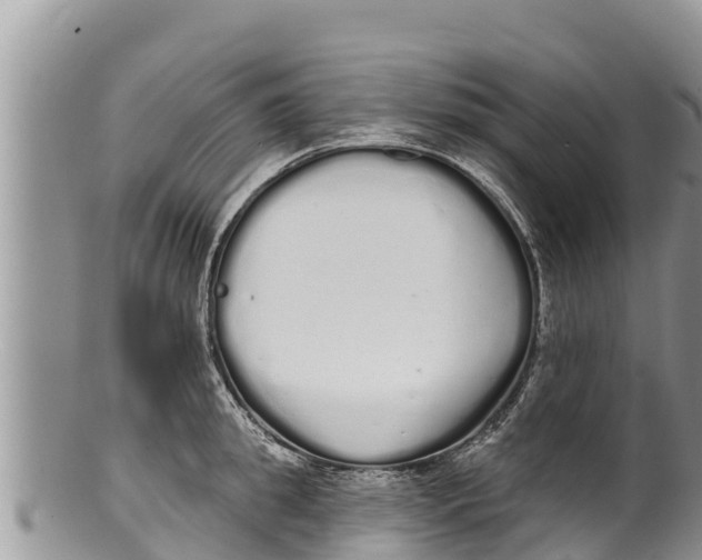 X0000100200949200806201418