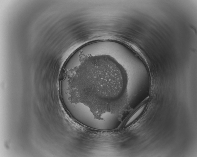 X0000100200951200806201418