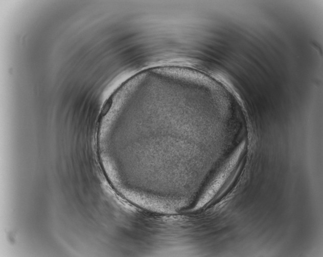 X0000100200952200806201418