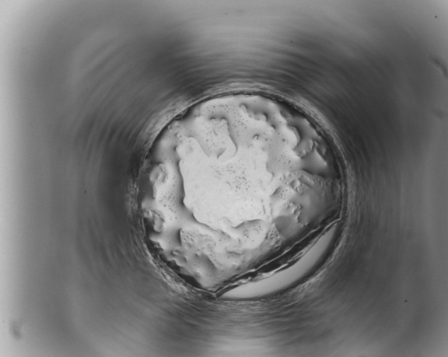 X0000100200953200806201418