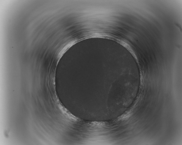 X0000100200954200806201418