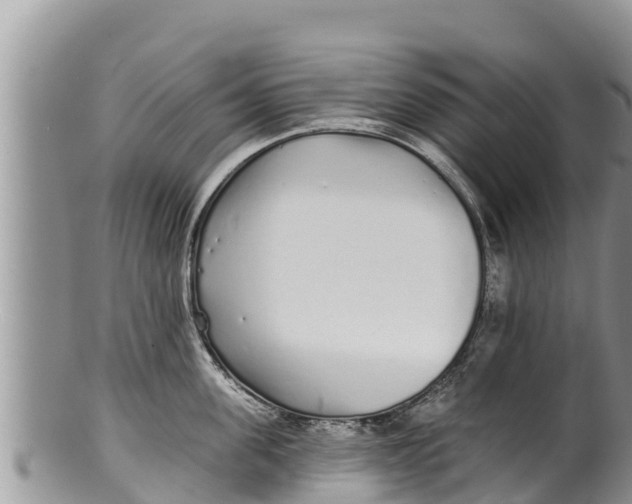 X0000100200955200806201418