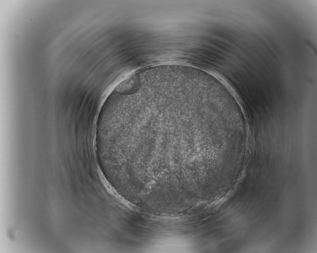 X0000100200957200806201418