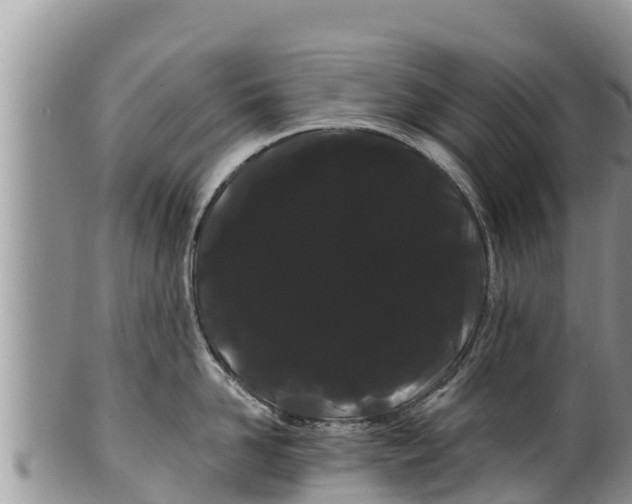 X0000100200958200806201418