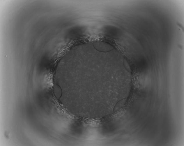 X0000100200962200806201417