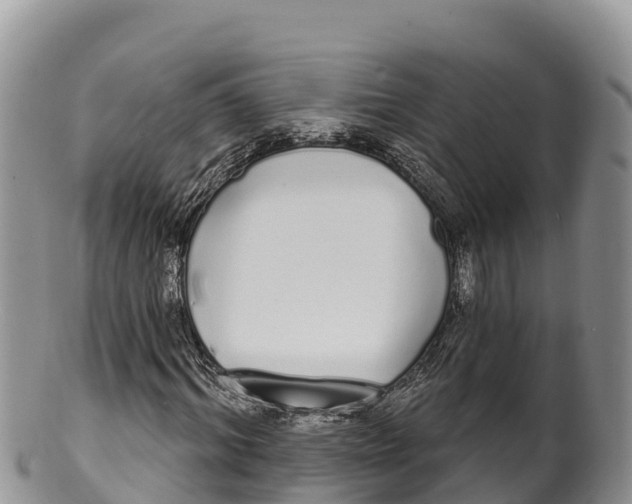 X0000100200964200806201417