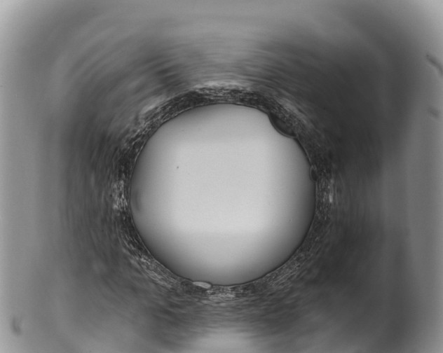 X0000100200965200806201417