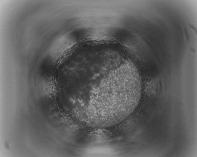 X0000100200966200806201417