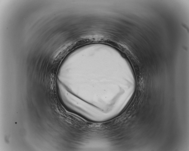 X0000100200967200806201417