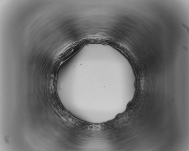 X0000100200968200806201417