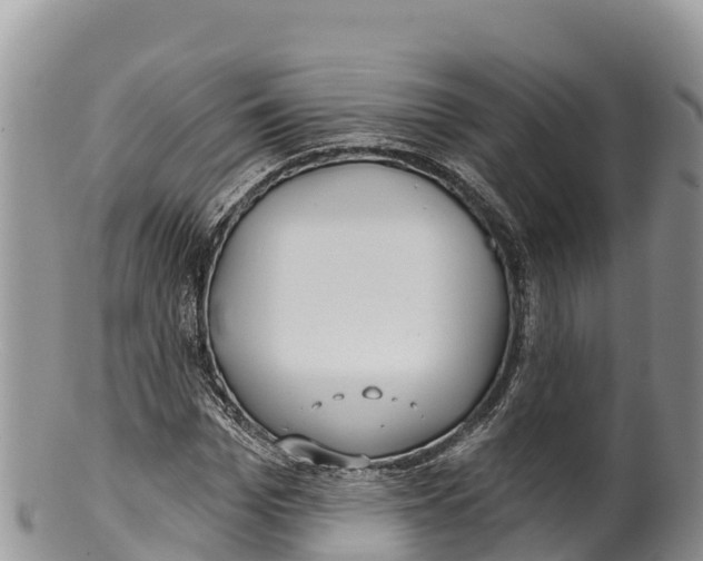 X0000100200969200806201417