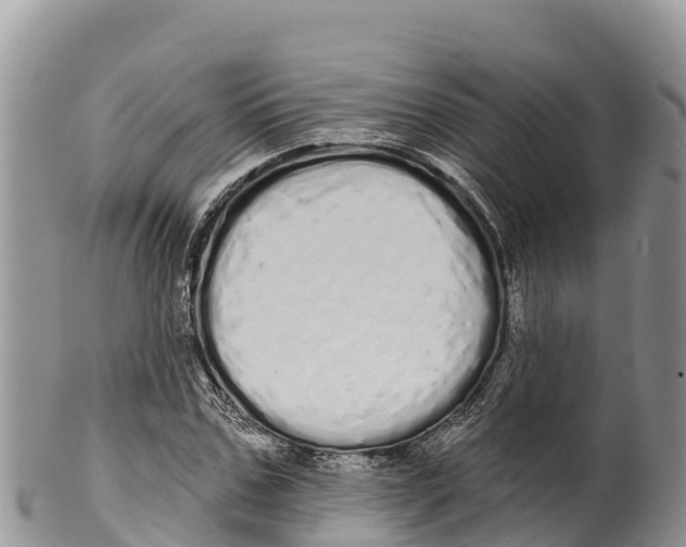 X0000100200971200806201417