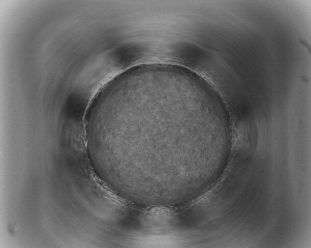 X0000100200974200806201417