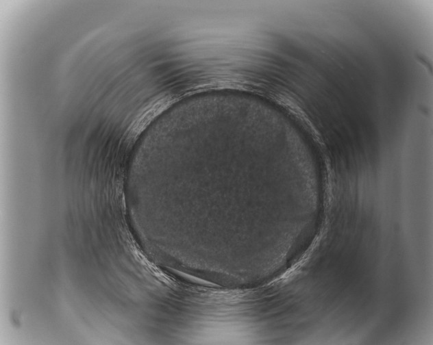 X0000100200977200806201417