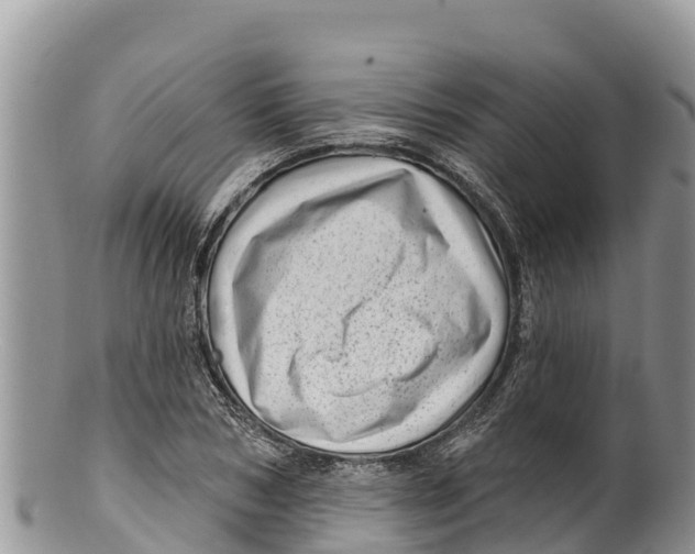 X0000100200978200806201417