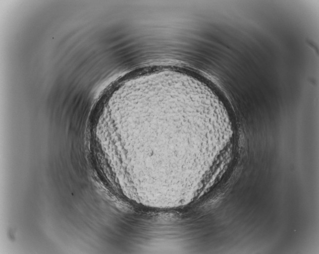 X0000100200979200806201417