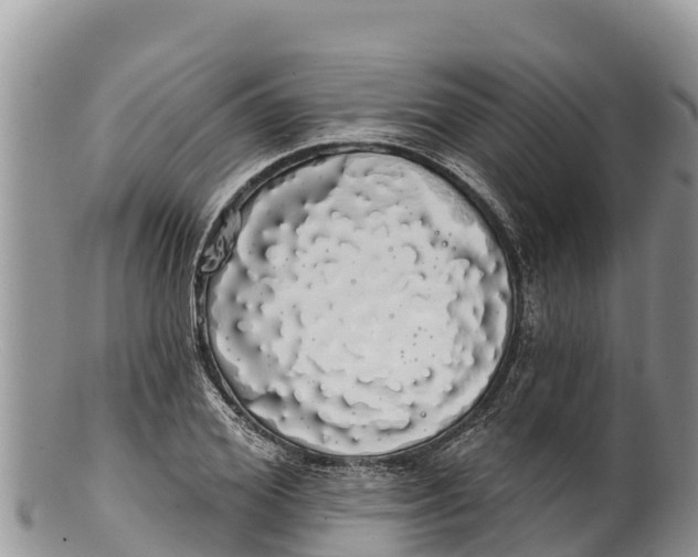 X0000100200980200806201417