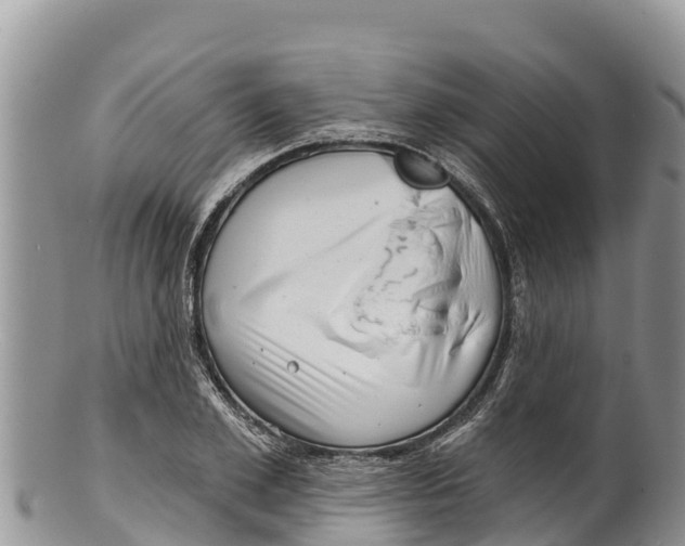 X0000100200981200806201417